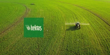 Hektaş (HEKTS) hisse hedef fiyatı ve güncel teknik analizi 1 Hektas-HEKTS-hisse-hedef-fiyati-ve-guncel-teknik-analizi-featured