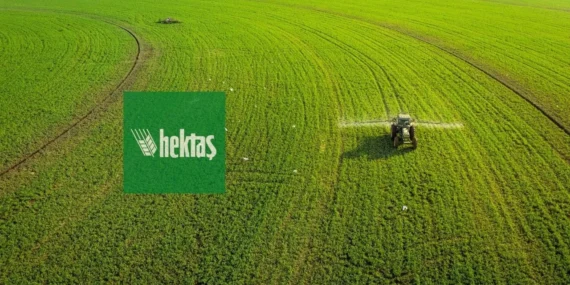 Hektaş (HEKTS) hisse hedef fiyatı ve güncel teknik analizi