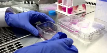 Ingiltere8217de-Salmonella-Panigi-207-Vaka-Tespit-Edildi-featured