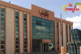 Meysu-Gida-MEYSU-Net-Kari-43-Dustu-featured