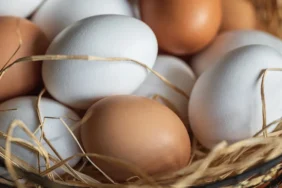 Salmonella alarmı büyüyor: 1,5 milyon koli yumurta geri çağrıldı 3 Salmonella-alarmi-buyuyor-15-milyon-koli-yumurta-geri-cagrildi-featured