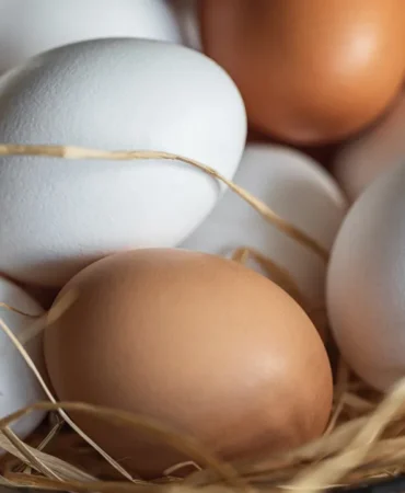 Salmonella-alarmi-buyuyor-15-milyon-koli-yumurta-geri-cagrildi-featured