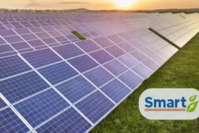 Smart-Gunes-SMRTG-2026-2.-Ceyrek-Kari-Beklentiyi-Karsilamadi-featured