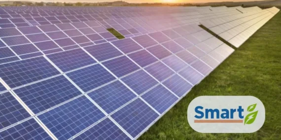 Smart Güneş (SMRTG) 2026 2. Çeyrek Karı Beklentiyi Karşılamadı