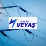VEYAS Halka Arzı: Kişi Başı Kaç Lot Düşebilir? 17 VEYAS-Halka-Arzi-Kisi-Basi-Kac-Lot-Dusebilir-featured