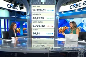 Altin-ve-Mevduatin-Yuksek-Volatilitede-Onemi-featured