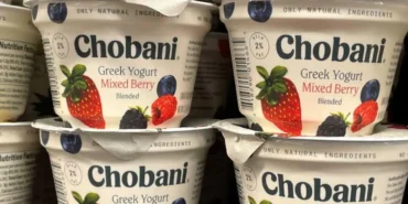 Chobani8217den-ABD8217de-12-Milyar-Dolarlik-Dev-Yatirim-featured