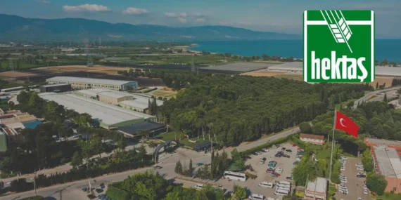 Hektaş’tan Sermaye Artırımına Öncelik: İmtiyaz Başvurusu Geri Çekildi
