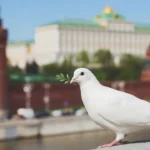 Kremlin8217den-Ukrayna-Uzlasmasi-Icin-Uclu-Zirve-Sinyali-featured