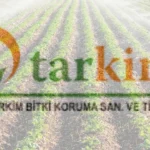 Akfen Holding'e Ait Uçak Libya'da Pistten Çıktı 1 thumbnail
