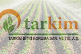Tarkim (TARKM) 2026 2. Çeyrek Bilanço Analizi 3 Tarkim-TARKM-2026-2.-Ceyrek-Bilanco-Analizi-featured
