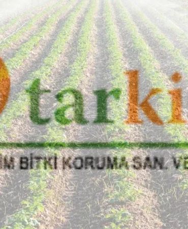 Tarkim-TARKM-2026-2.-Ceyrek-Bilanco-Analizi-featured