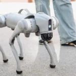 Robot Köpek Gezdirme İşi: Saatlik 20 Dolar ve Fiziksel Zorluklar 14 Robot-Kopek-Gezdirme-Isi-Saatlik-20-Dolar-ve-Fiziksel-Zorluklar-featured