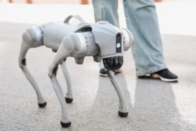 Robot-Kopek-Gezdirme-Isi-Saatlik-20-Dolar-ve-Fiziksel-Zorluklar-featured