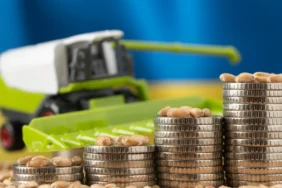 Tarım ve Gıdaya 10 Milyon Dolara Kadar Finansman 4 Tarim-ve-Gidaya-10-Milyon-Dolara-Kadar-Finansman-featured