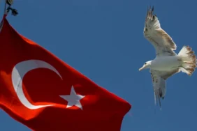 Türk Devletleri ile Dış Ticarette 72,2 Milyar Dolar Hacim 5 Turk-Devletleri-ile-Dis-Ticarette-722-Milyar-Dolar-Hacim-featured